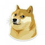 Doge AutoPay BOT