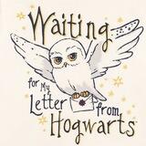 Hedwig Helper.