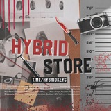 Hybrid Bot