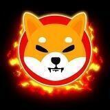 SHIB || Coinbase Airdrop Bot 🔥