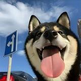ZX的小机器人