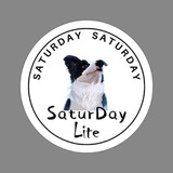 SaturDay.Lite Bot