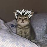 Bokuto wts - wtb