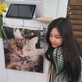 lica’s helper