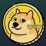 DOGE COIN