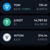 TON COIN