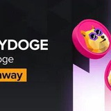 Polydoge Autopay Airdrop