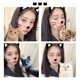 sasaa