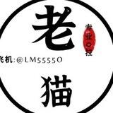 老猫双向机器人