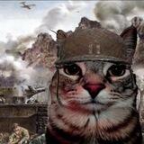 Meong