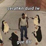 Ser ninuninu🚓