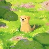 똑똑— 환영하다! ♡︎