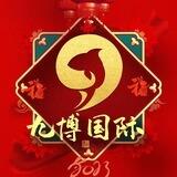 九博总裁VIP双向机器人