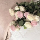 noona