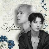 Sylnore Order & Report