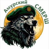 Обратная связь - Амурский СМЕРШ