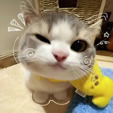 mibotu