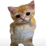 T.