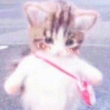 wtb/wts ayaa ♡゙ ⊹