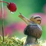 Wallpapers & quotes