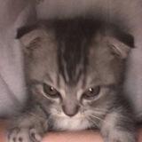 keyy