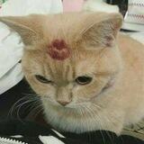 aily lovelove <♡>