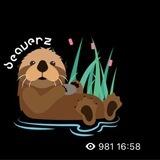Beaverz Contact