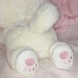 ୨ petite - hazel ♡ ꒱
