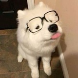 :bb
