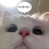 cetuny.. cetuny? cetuny!