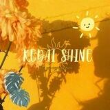 Kedai shine
