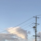 ₍ᐢ. ֑ .ᐢ₎