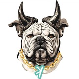 Kaspa Dog Airdrop Quest