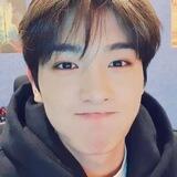 Acel!