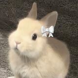 nini