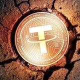 ⚡️Official~Usdt Bot 🤖