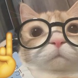 mulfung