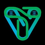 Virtual Trade