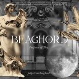 Beaghord’s Custodian.