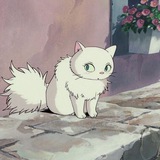 shortcake