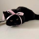 🎀 ׁ ˓˓ 💤 .. KaiyaAa AA !