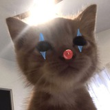 ayaya
