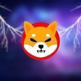 Thunder Shiba Airdrop