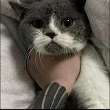 孤独供需双向发布机器人