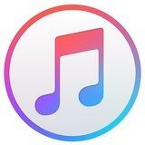Music downloader
