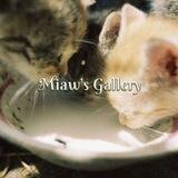 Miaw's Assistant