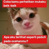 jual beli