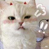 ꒰ ୨୧ Ai's Property ᵕ꒱