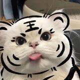 Jajan dong