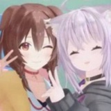 Meowing